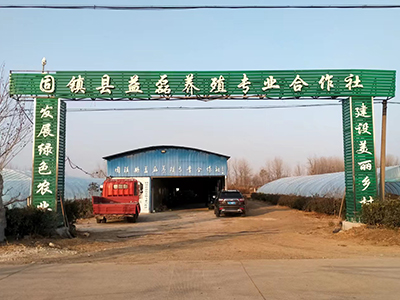 关于益磊合作社